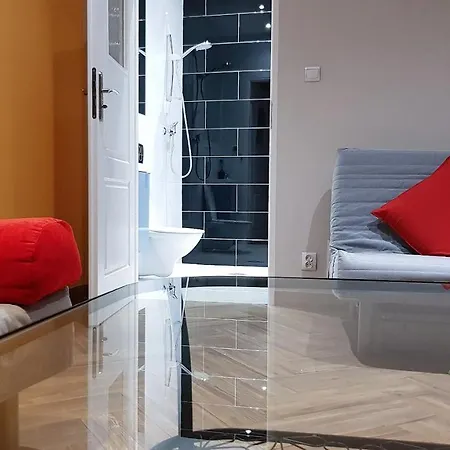 Cozy & Fun Wojewodzka, Chopina, Damrota Homestay