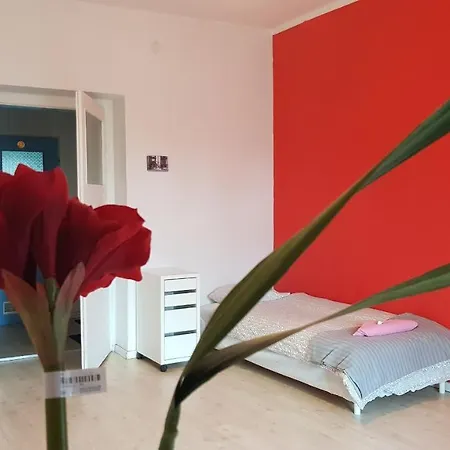 Cozy & Fun Wojewodzka, Chopina, Damrota Homestay Katowice